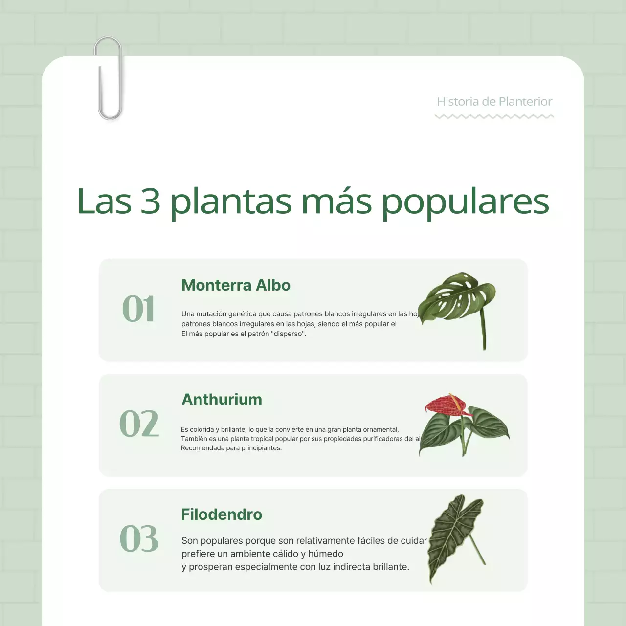 Promocione su terrier vegetal verde y blanco