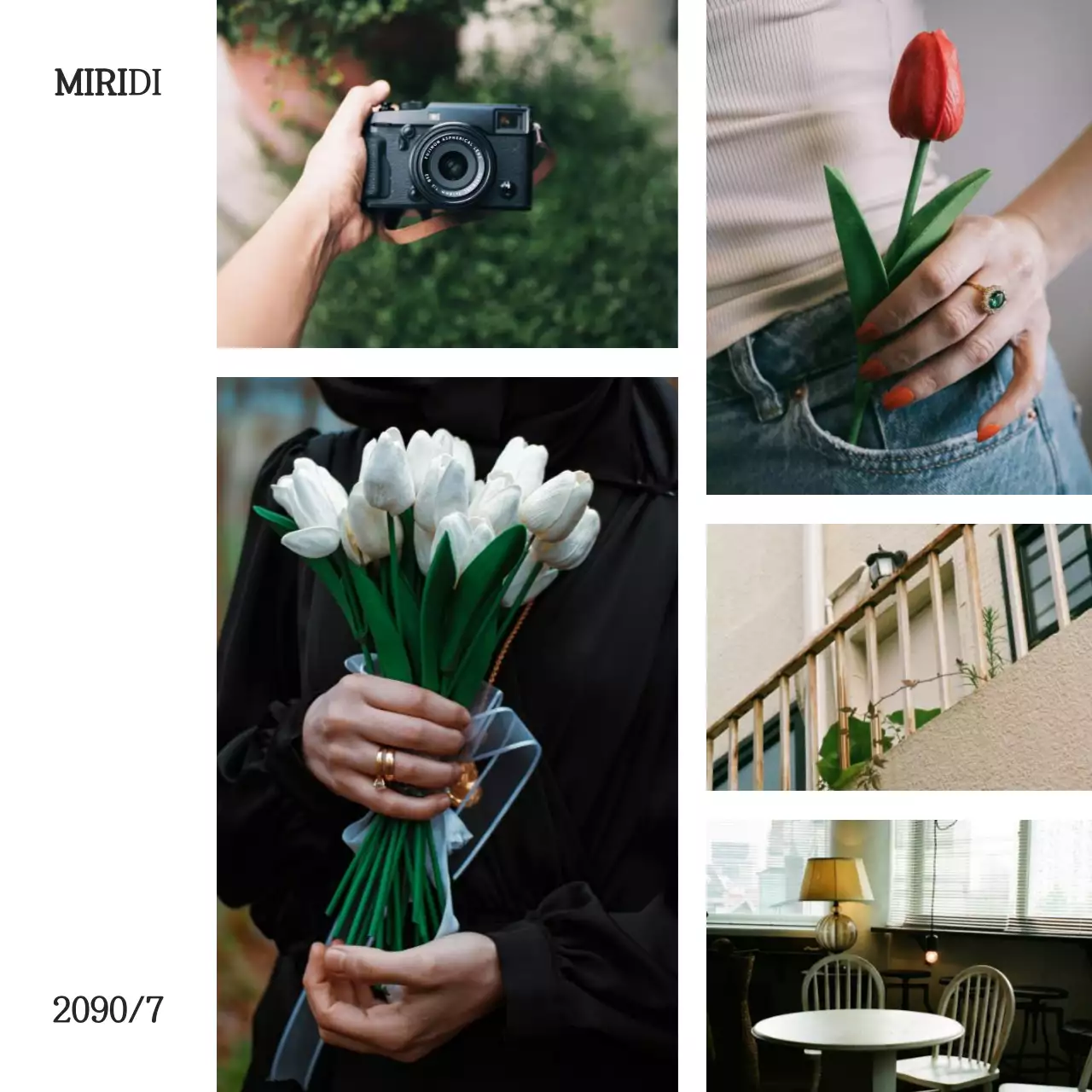 Een modern camera filmalbum in rood en groen gepost op