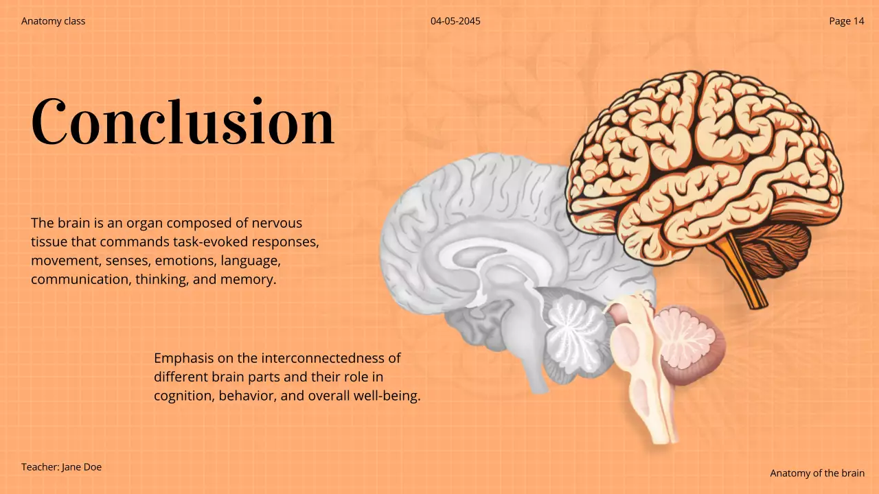Orange Professional Brain Course Presentation