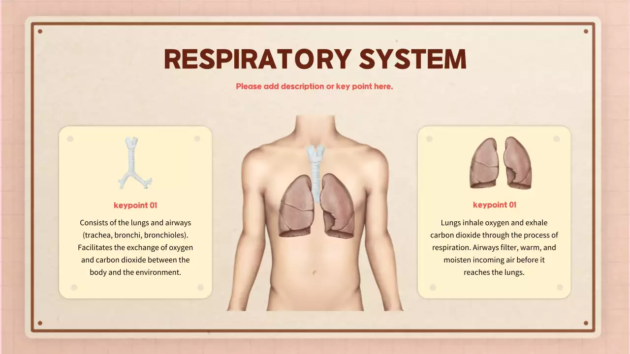 Beige Modern Anatomy Guide Presentation