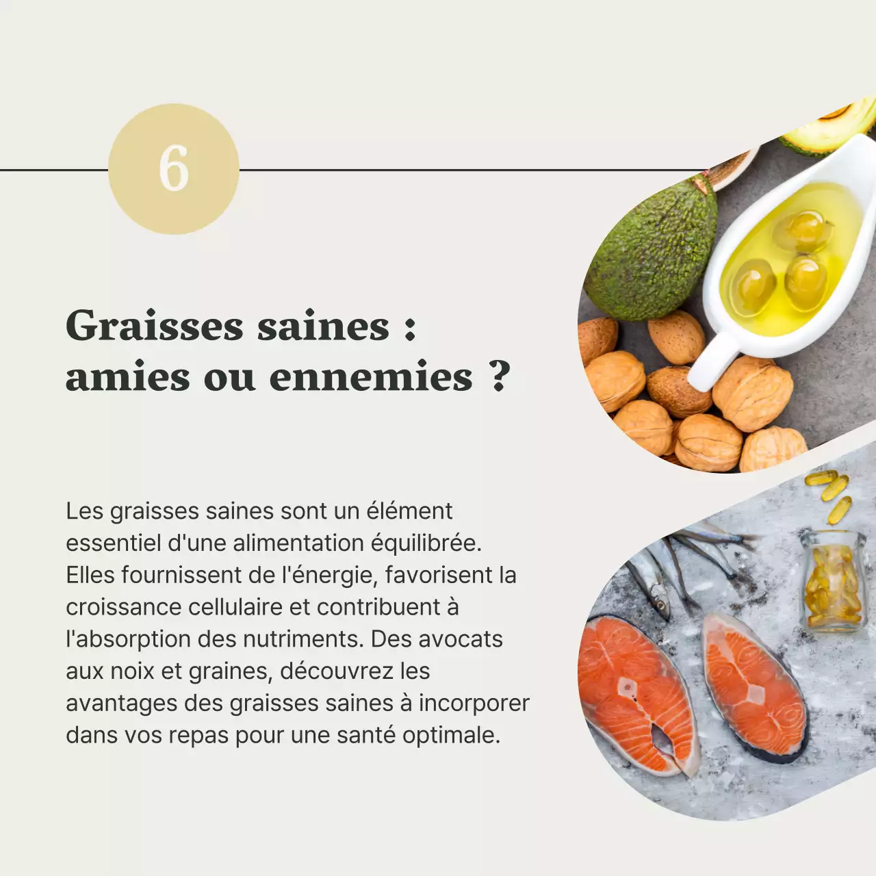 Gris et vert Guide de l'alimentation saine et du régime alimentaire
