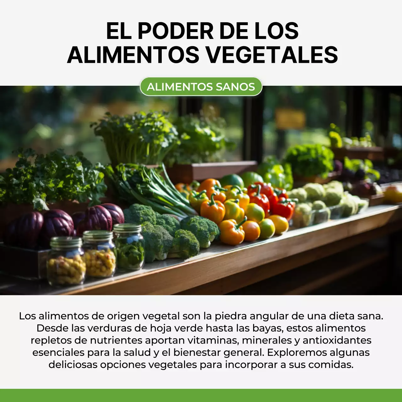 Alimentación sana Dieta Consejos motivacionales