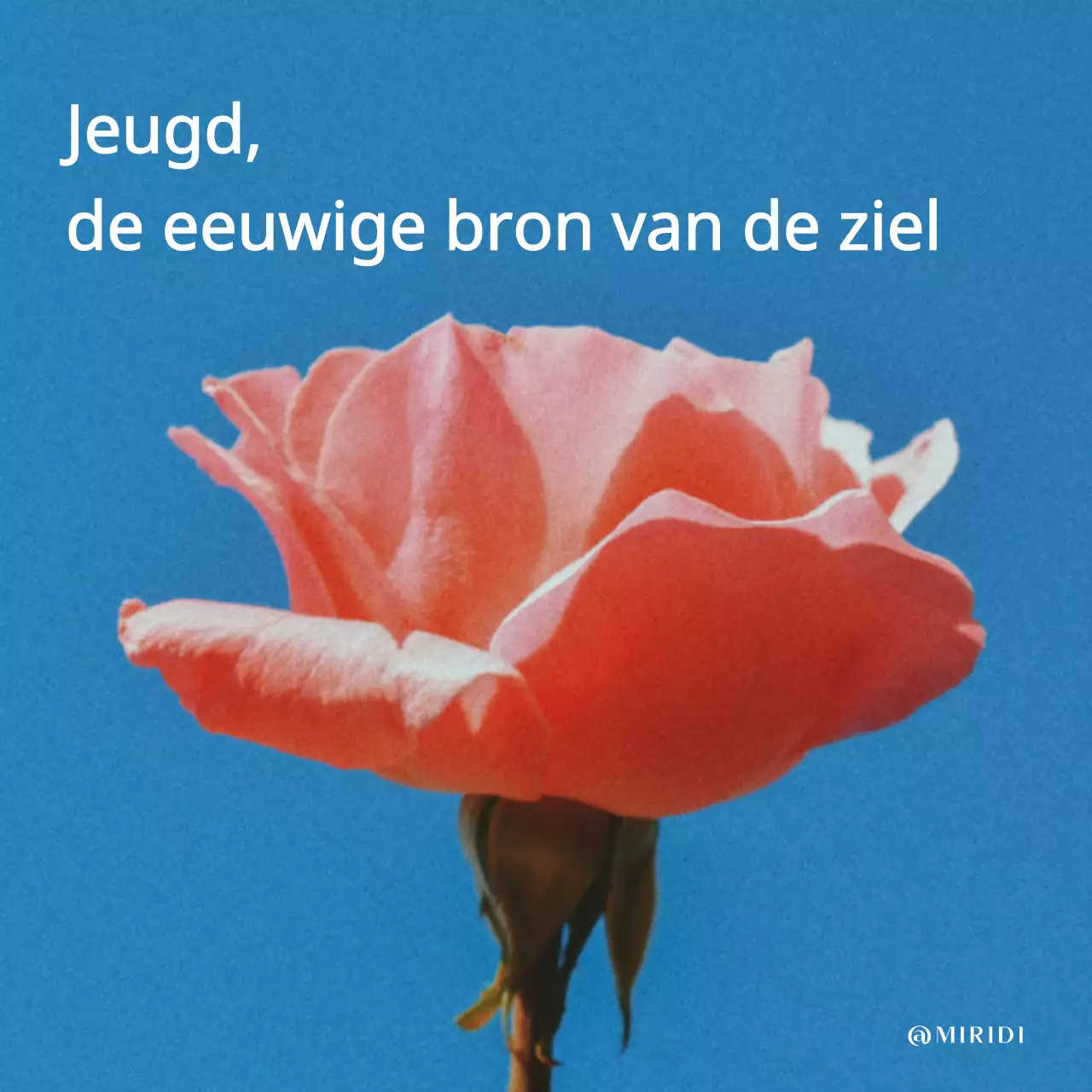 Eenvoudige jeugdige geest lente briefpapier post in lichtblauw en wit