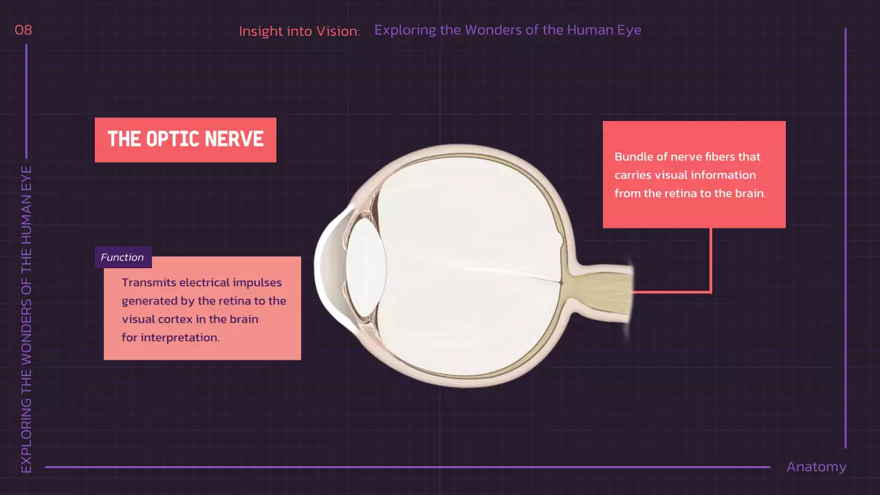 Presentasi Kuliah Anatomi Modern Ungu