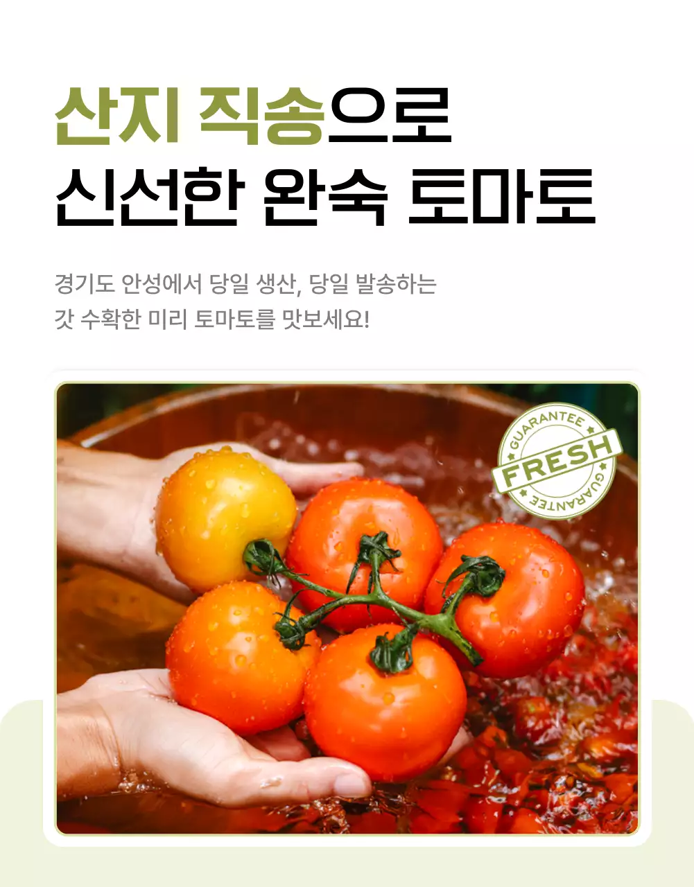 흰색과 초록색의 심플한 토마토 홍보