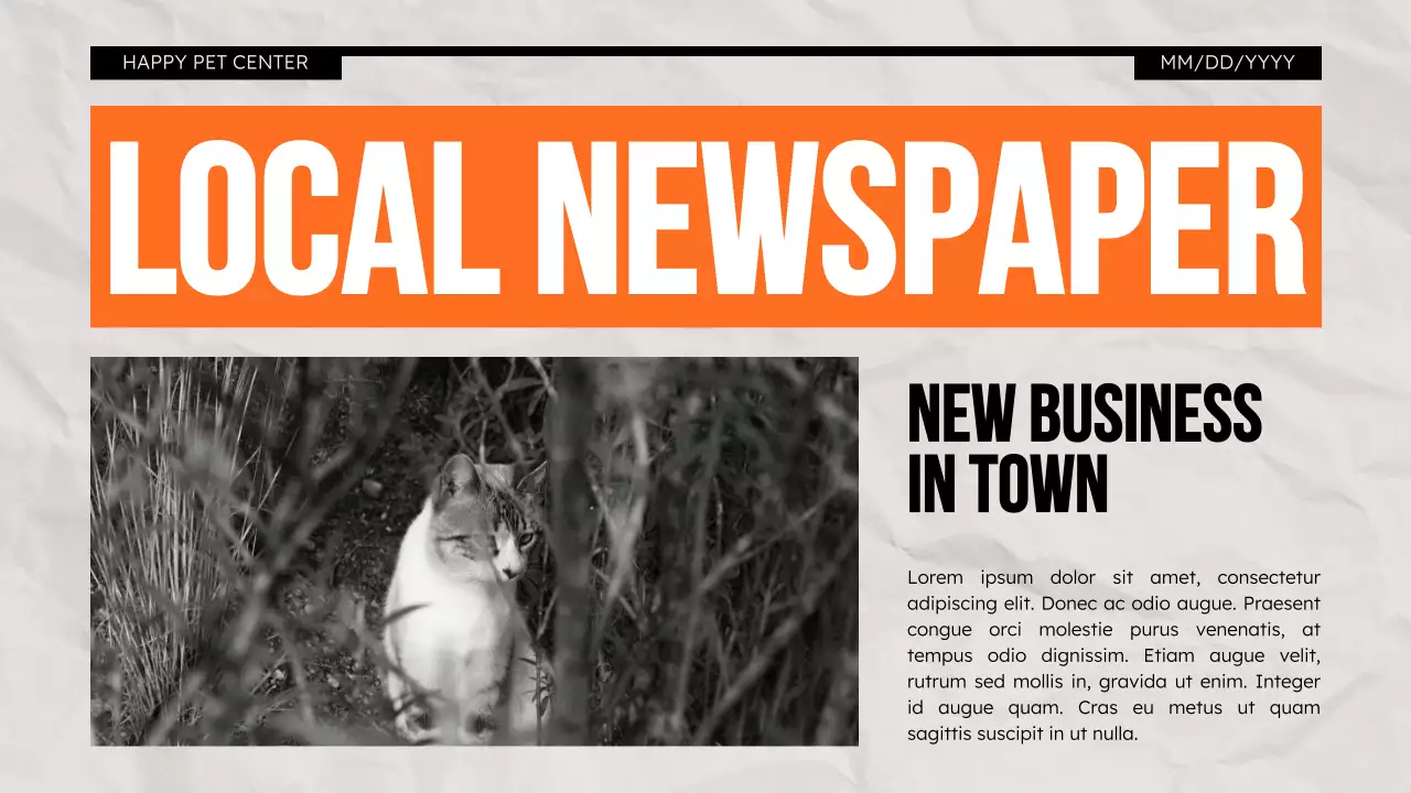 Orange Modern Pet Promotion Presentation