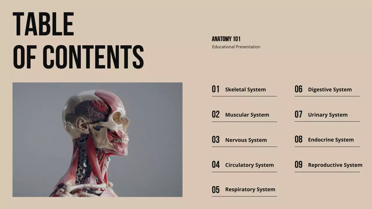 Beige Professional Anatomy Guide Presentation