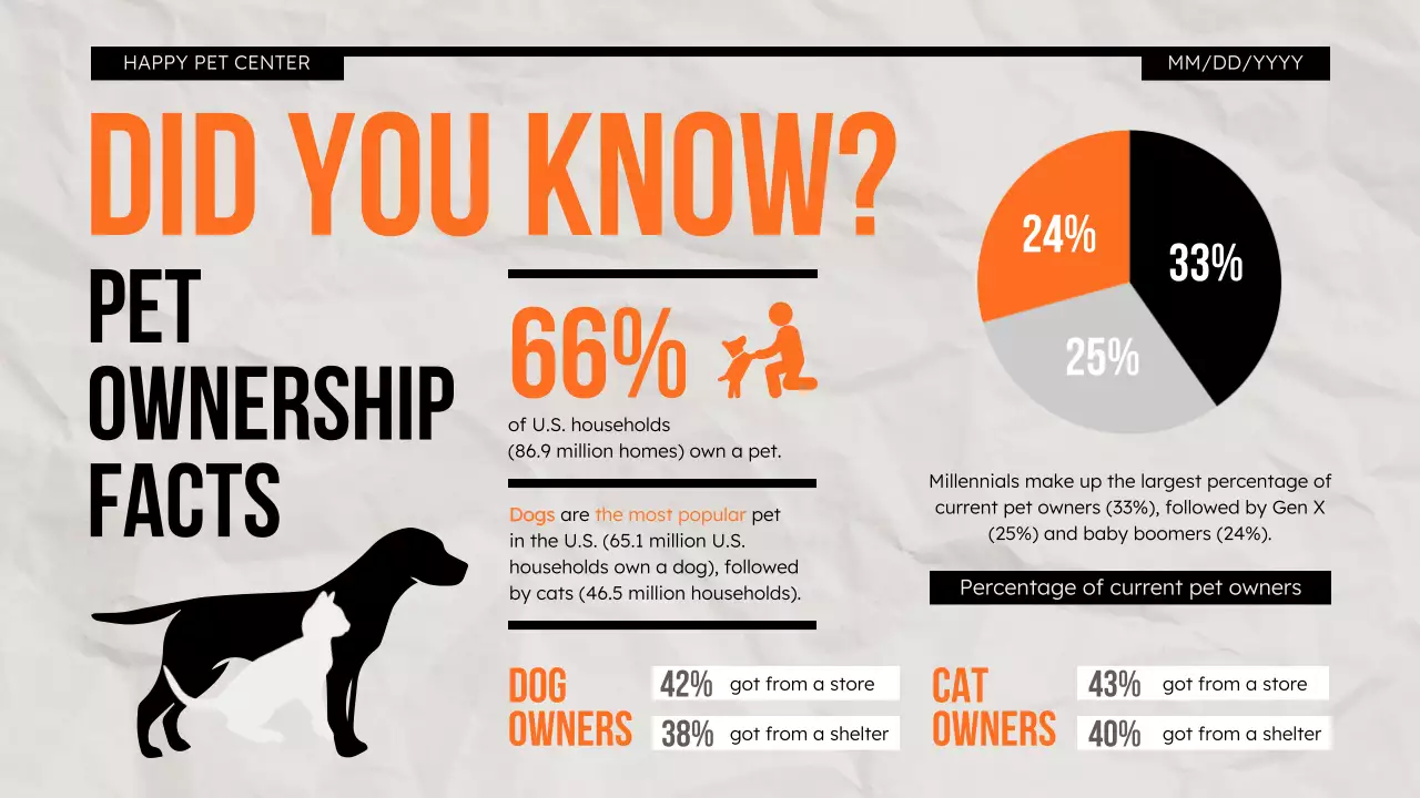 Orange Modern Pet Promotion Presentation