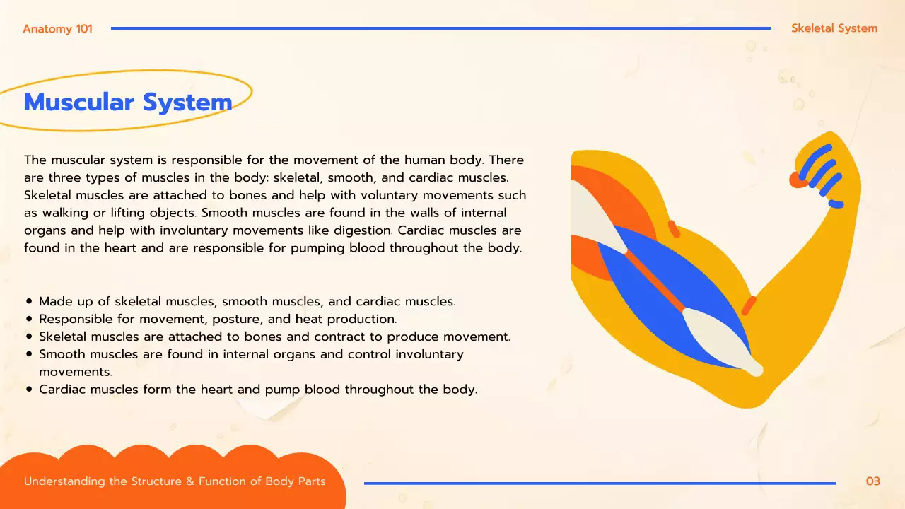 Orange Educational Anatomy Guide Presentation