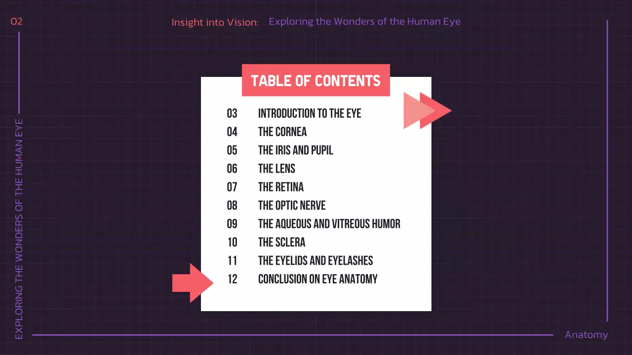 Presentasi Kuliah Anatomi Modern Ungu