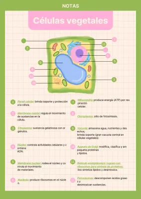 Materiales de estudio de biología verde simple