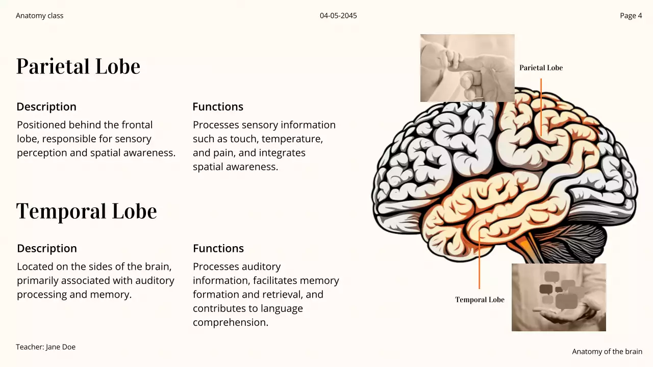 Orange Professional Brain Course Presentation