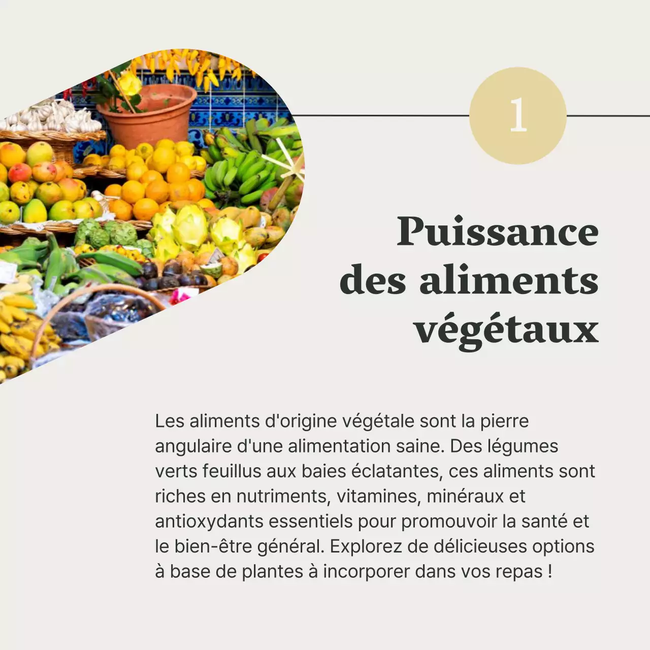 Gris et vert Guide de l'alimentation saine et du régime alimentaire