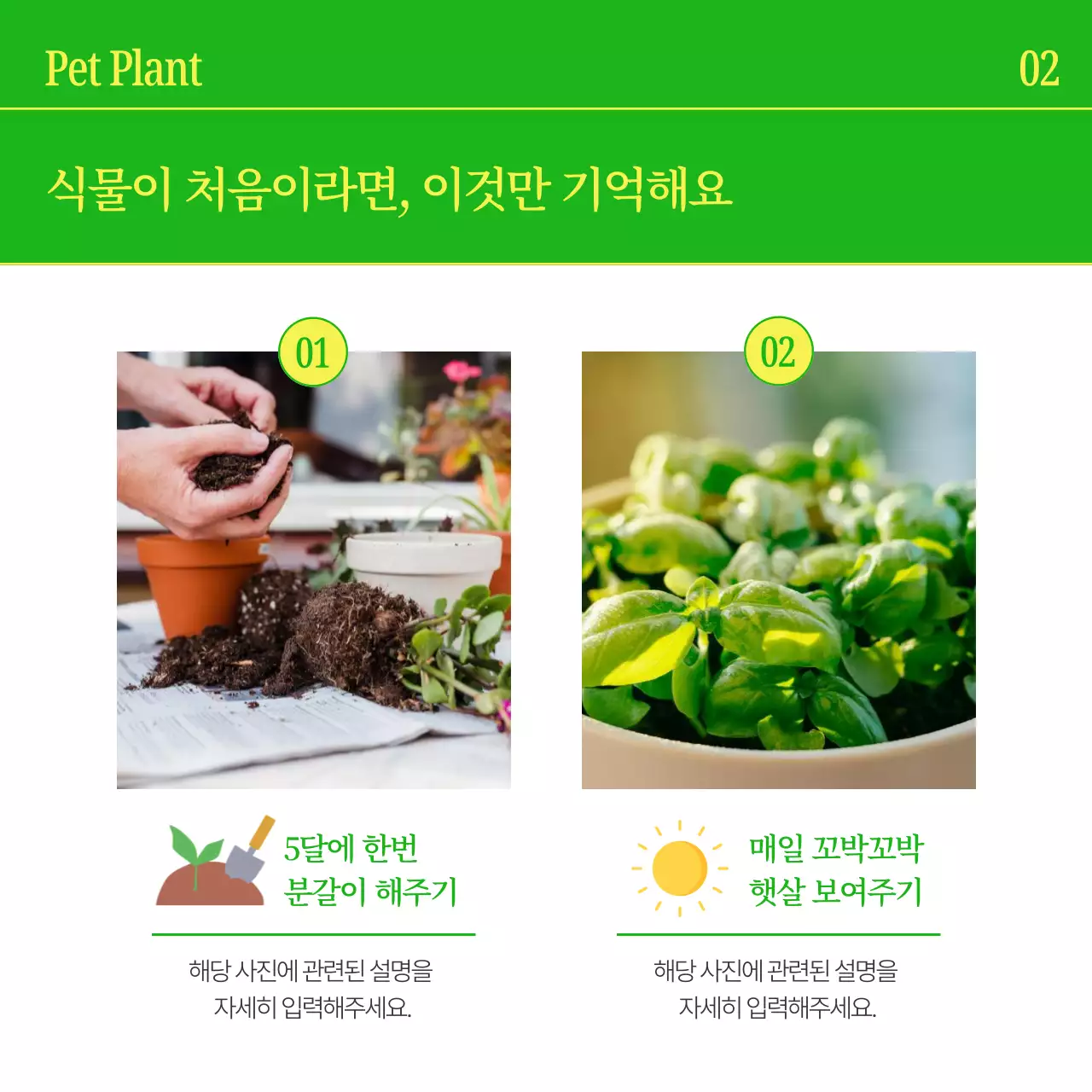 노랑과 초록색의 심플한 반려식물 홍보
