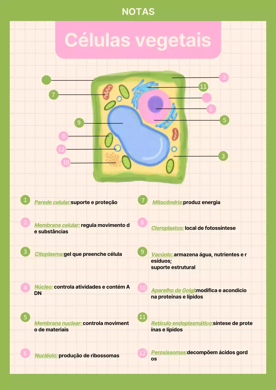 Materiais de estudo de biologia verde simples