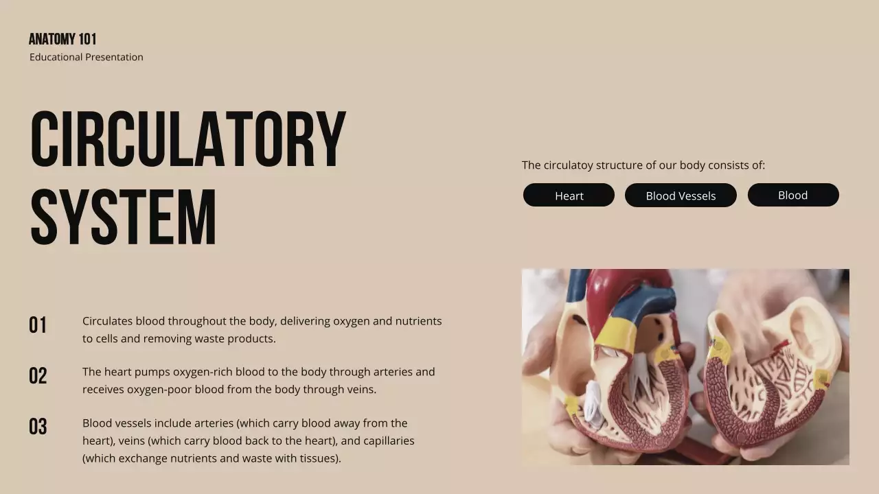 Beige Professional Anatomy Guide Presentation