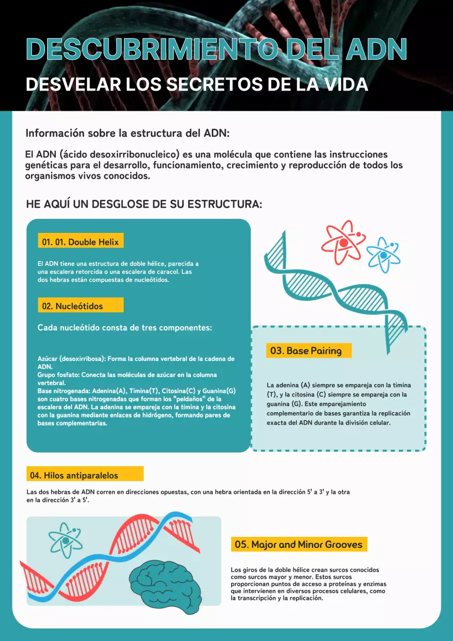 Azul y blanco Material de estudio sobre el descubrimiento moderno del ADN