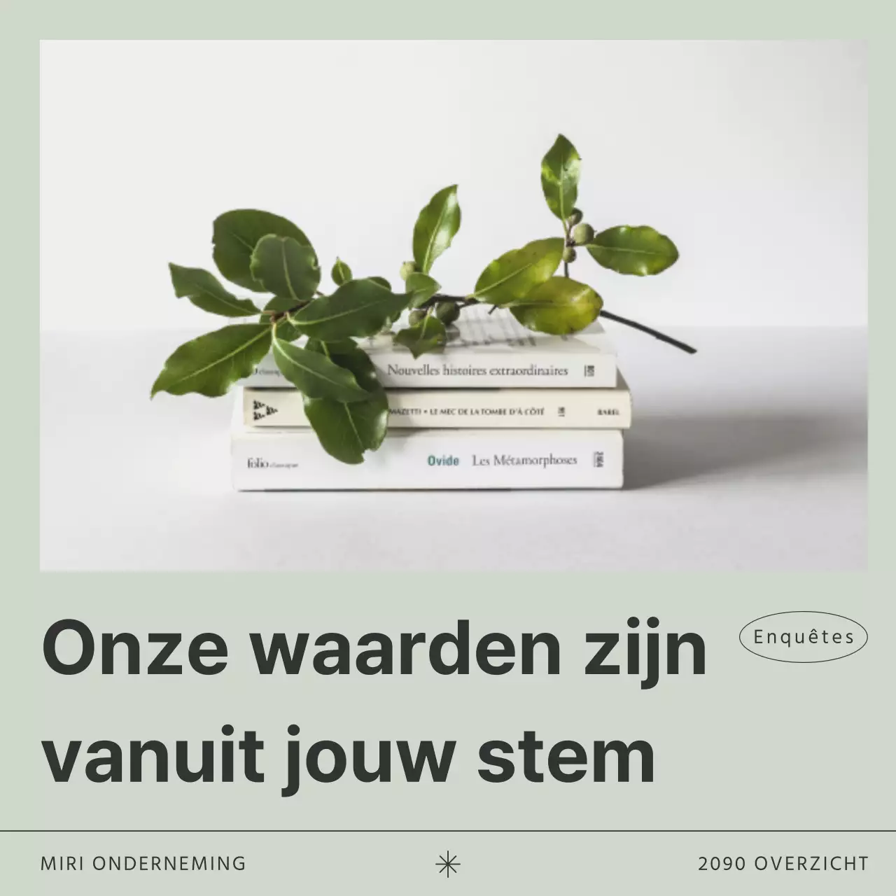 Promoot klantenenquêtes op trend met kaki en zwart