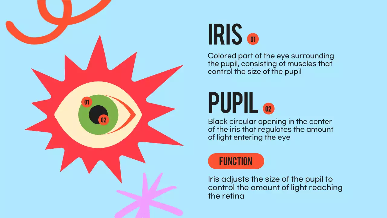Black Orange Flashy Eyes Lecture Material