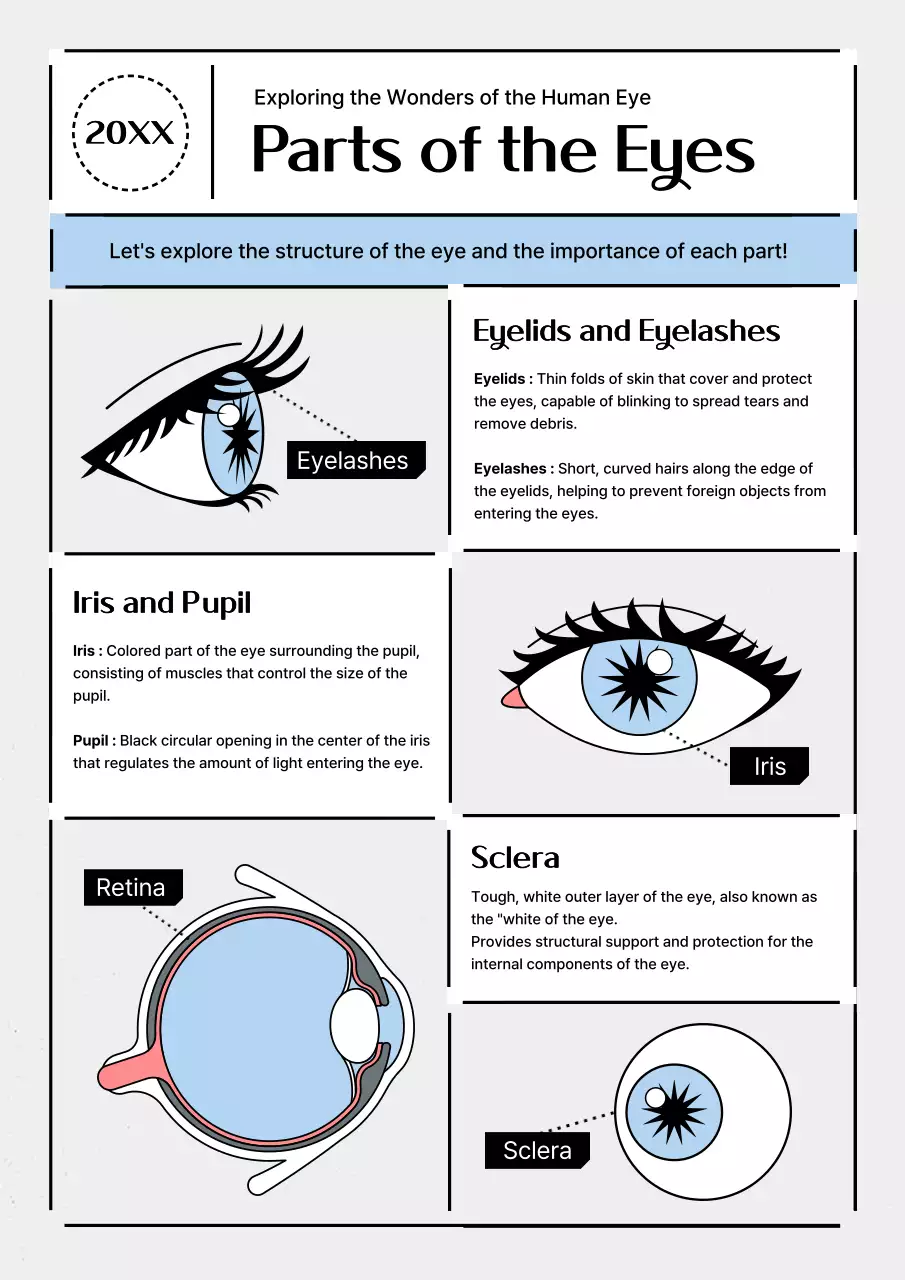 White Modern Eye Guide Poster