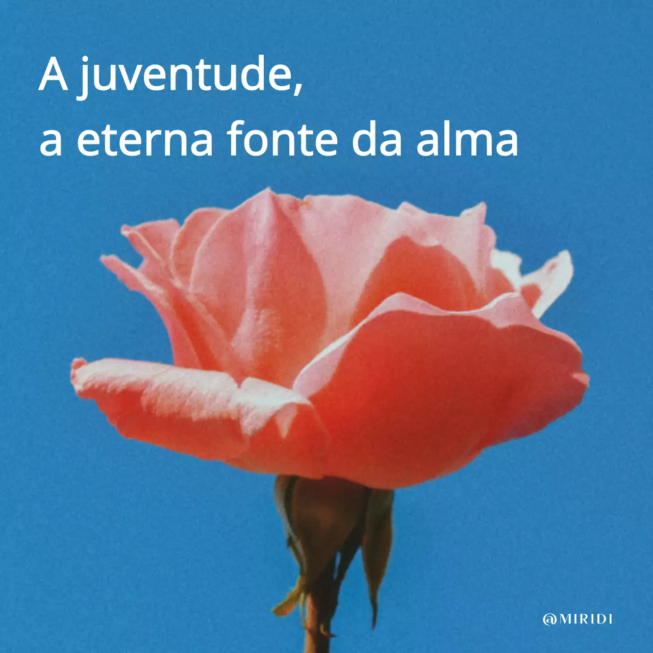 Papel de carta simples de espírito jovem para a primavera em azul claro e branco