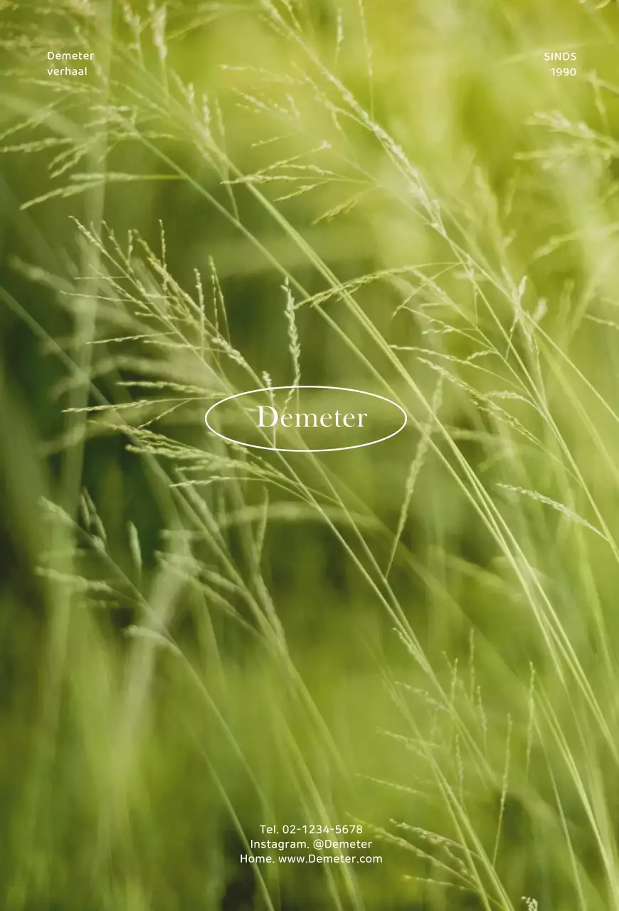 Eenvoudige ansichtkaart met foto-achtergrond