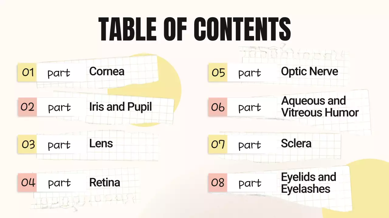 Beige Minimal Anatomy Guide Presentation