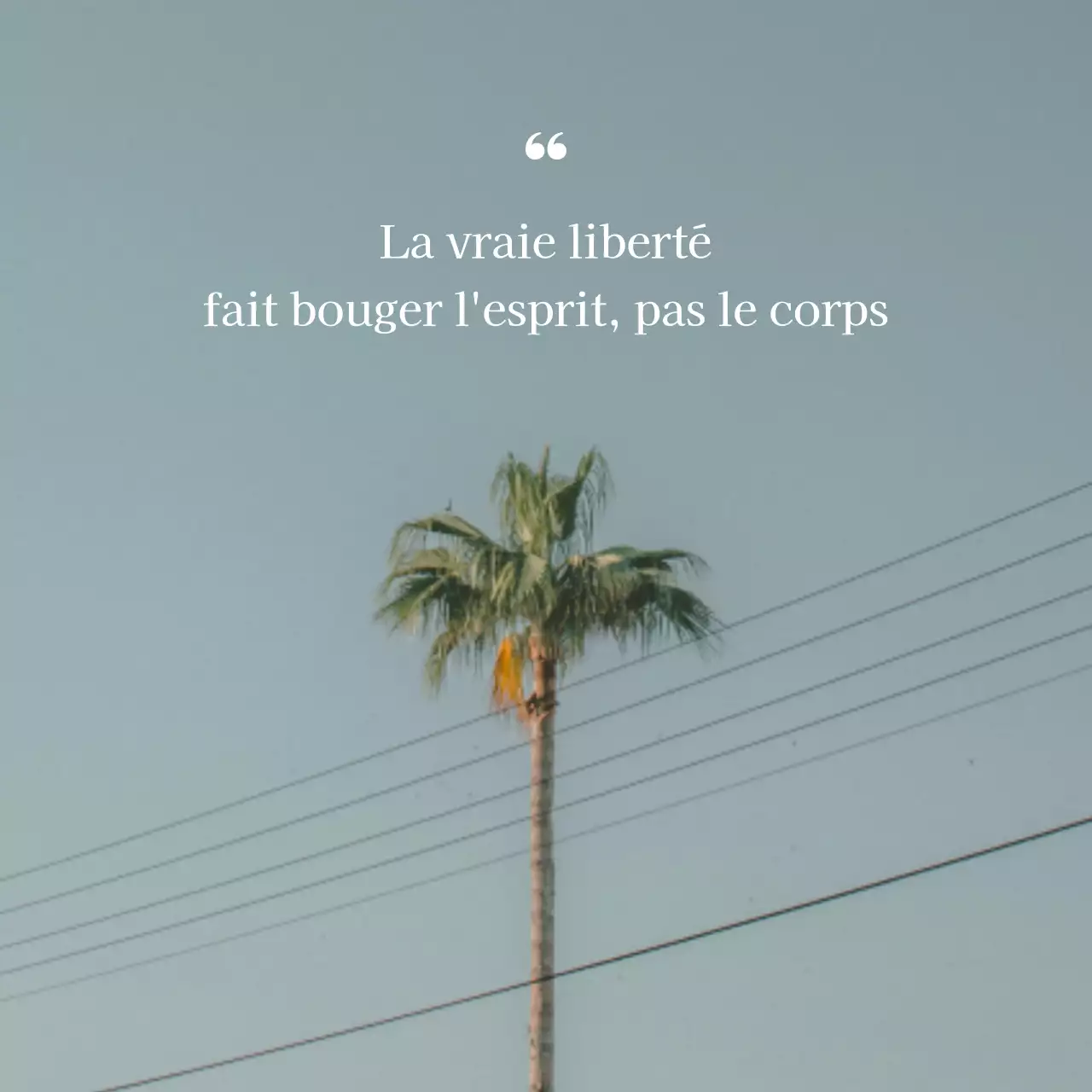 Promouvoir un texte libre simple en bleu clair et blanc