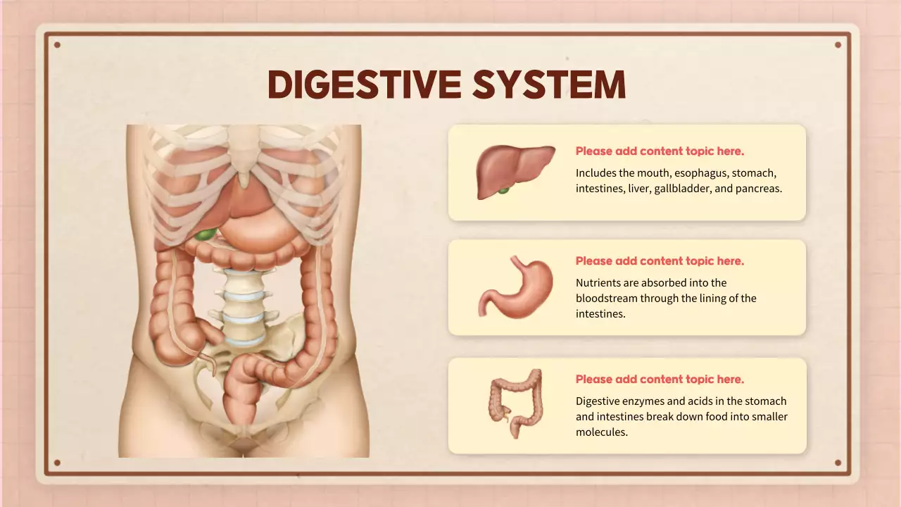 Beige Modern Anatomy Guide Presentation