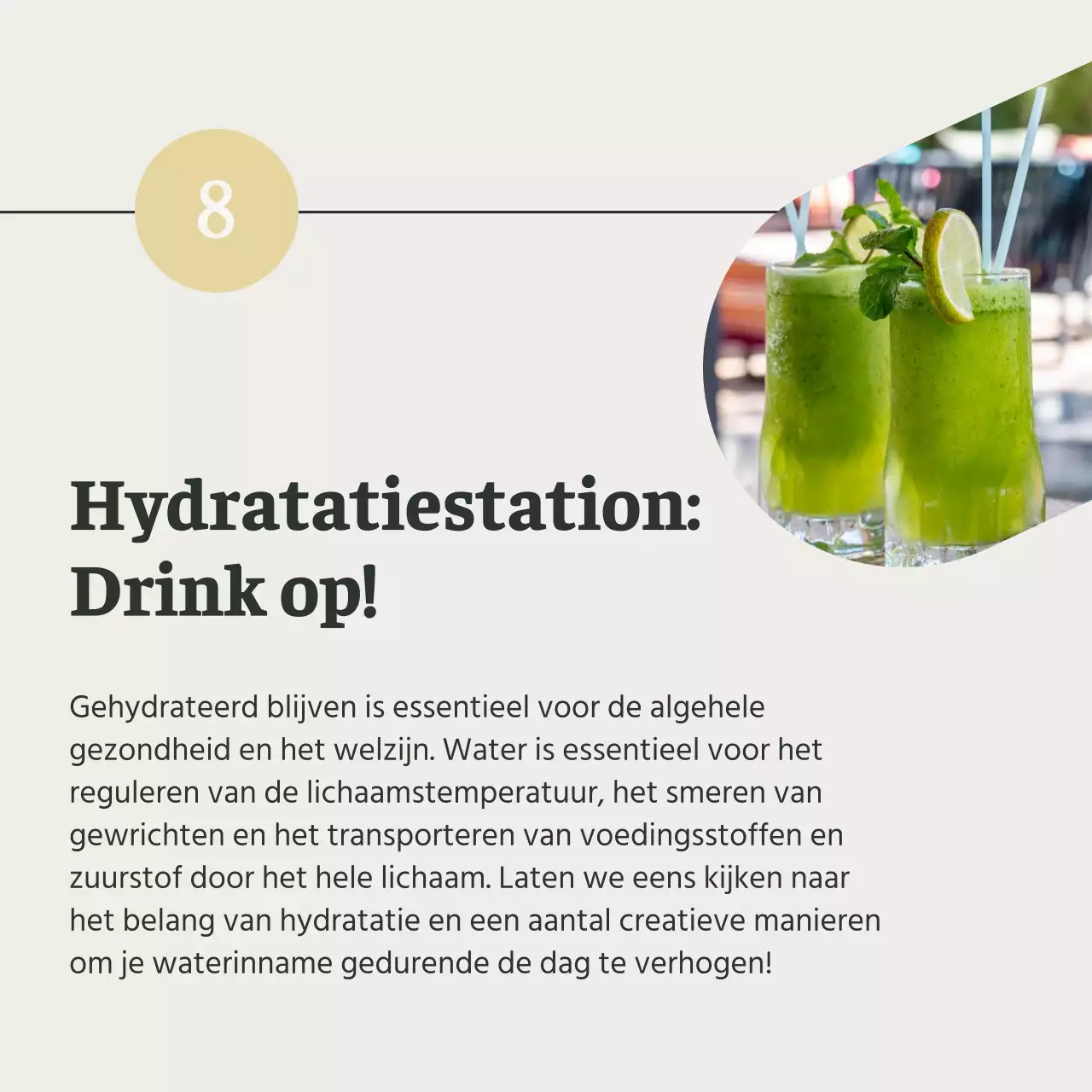 Grijs en Groen Natuurlijk Gezond eten en dieetgids