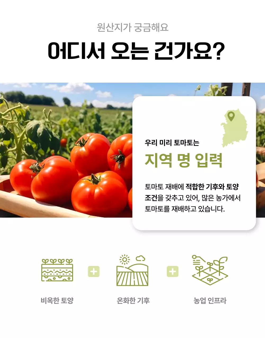 흰색과 초록색의 심플한 토마토 홍보