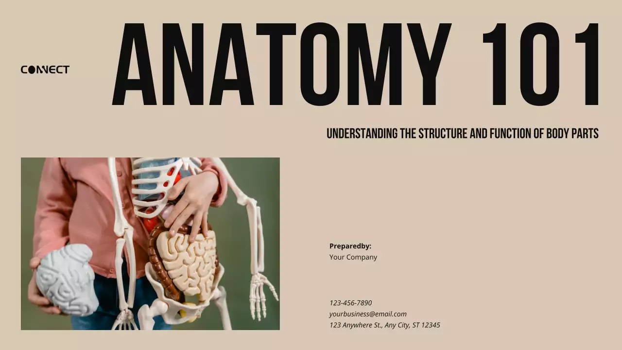 Beige Professional Anatomy Guide Presentation