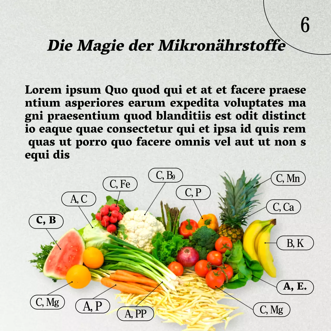 Grau und Braun Natürliche Gesunde Ernährung und Diätführer