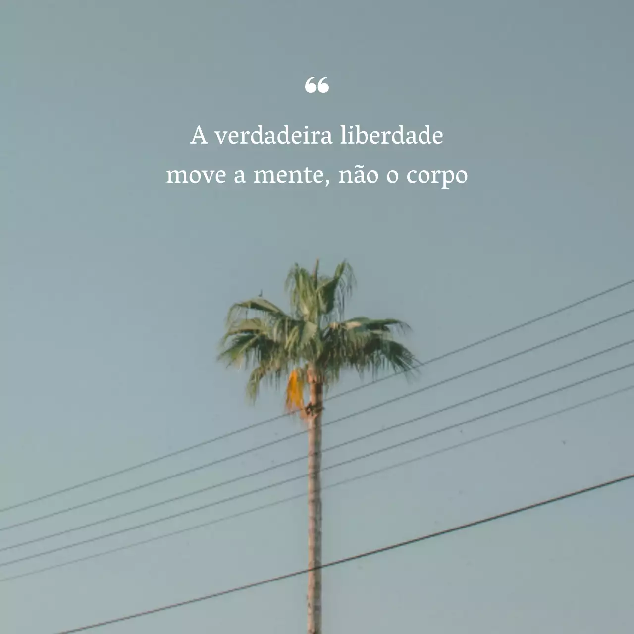Promover um texto simples e livre em azul claro e branco