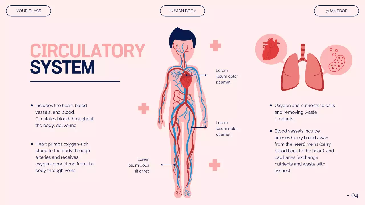 Pink Modern Anatomy Guide Presentation