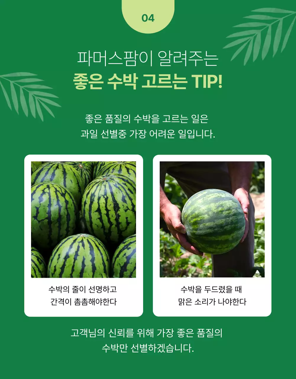 초록색과 연두색의 심플한 신선식품 과일 홍보