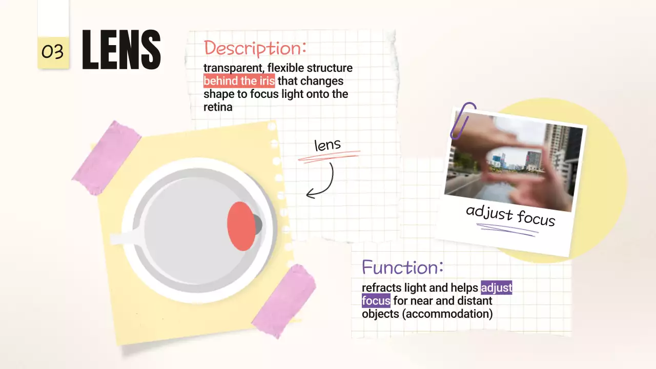 Beige Minimal Anatomy Guide Presentation