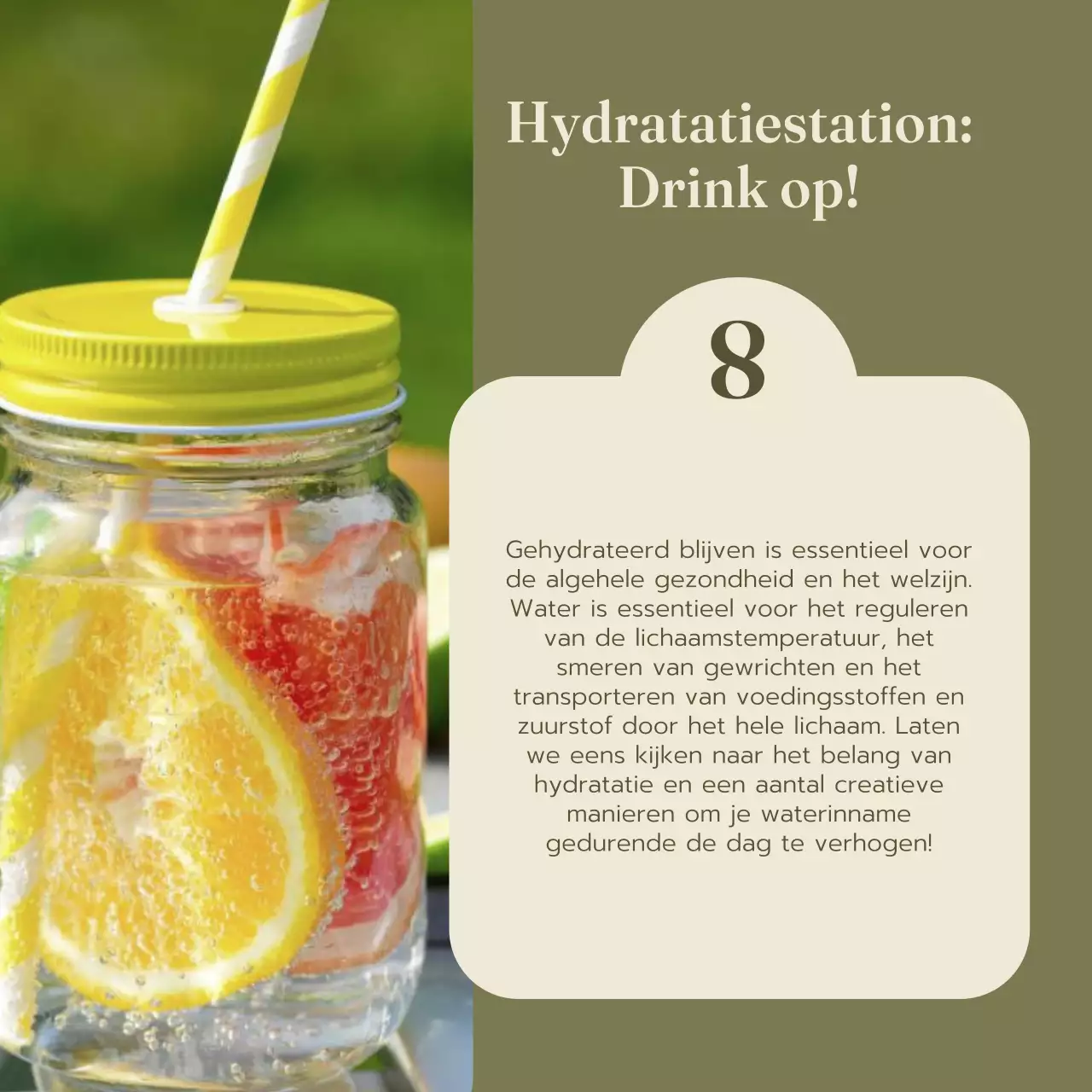 Groen en Rood Natuurlijk Gezond eten en dieetgids