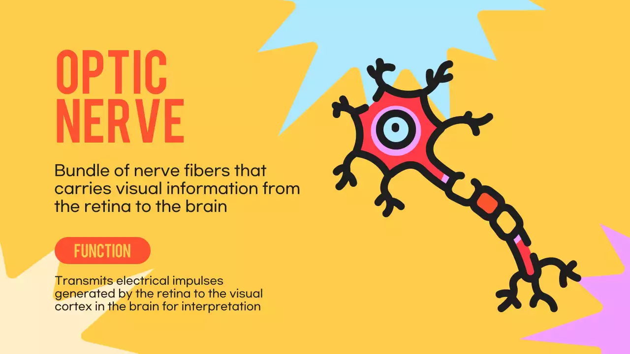 Black Orange Flashy Eyes Lecture Material