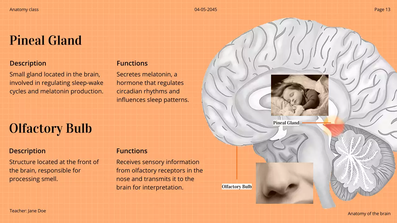 Orange Professional Brain Course Presentation