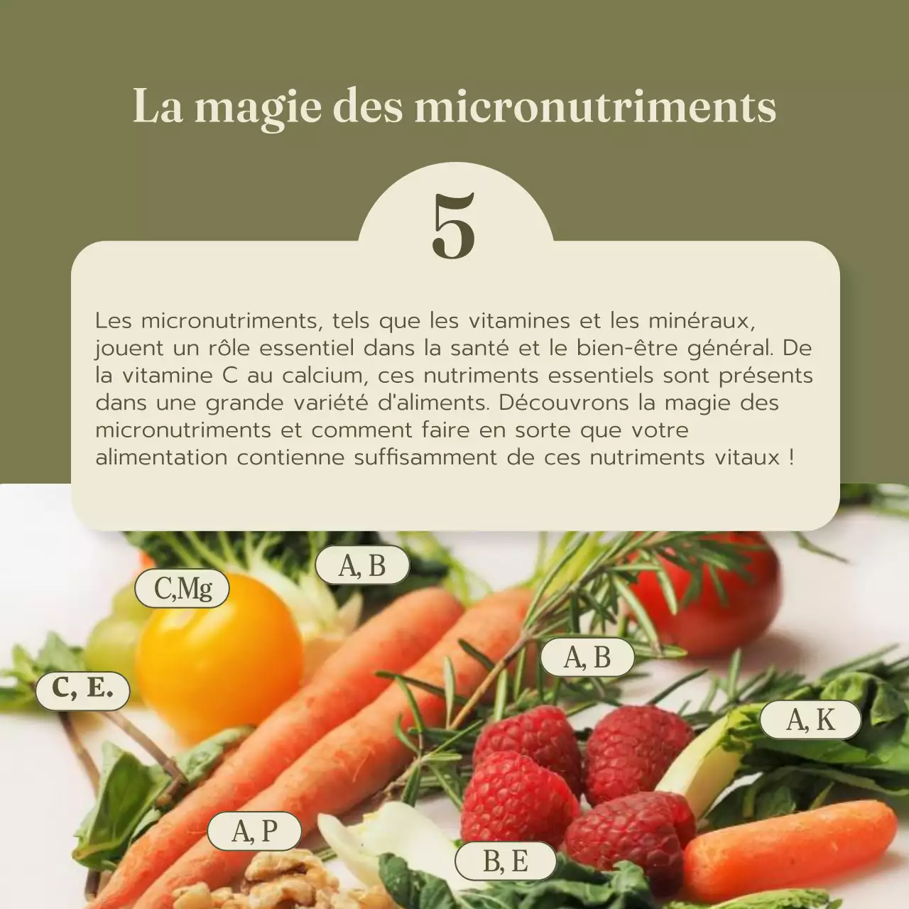 Guide de l'alimentation saine et du régime naturel vert et rouge