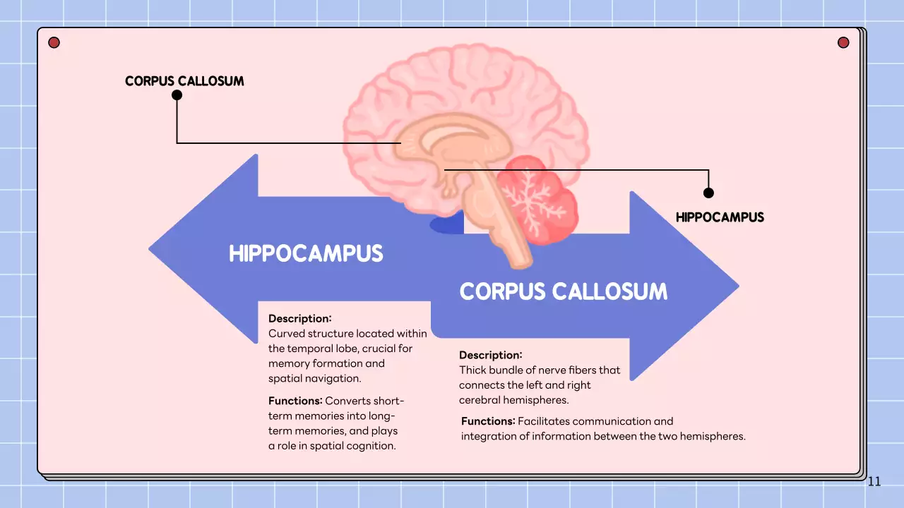 Apresentação da Palestra Pink Modern Brain