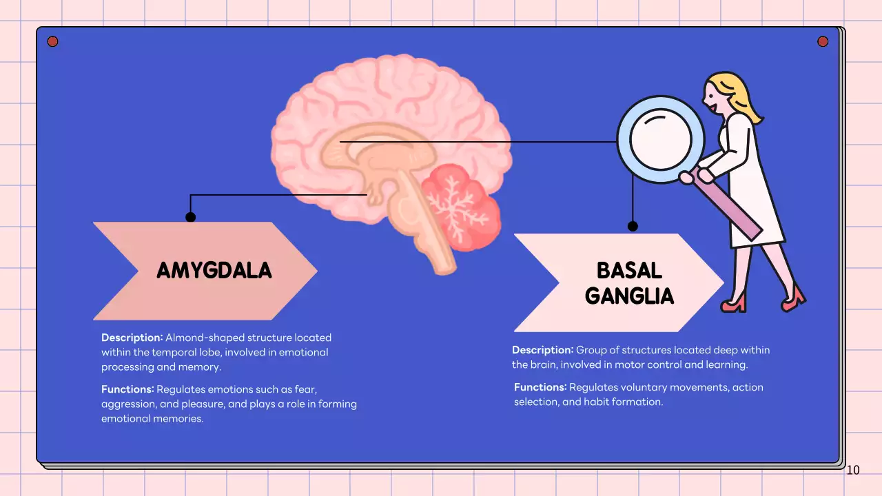 Apresentação da Palestra Pink Modern Brain