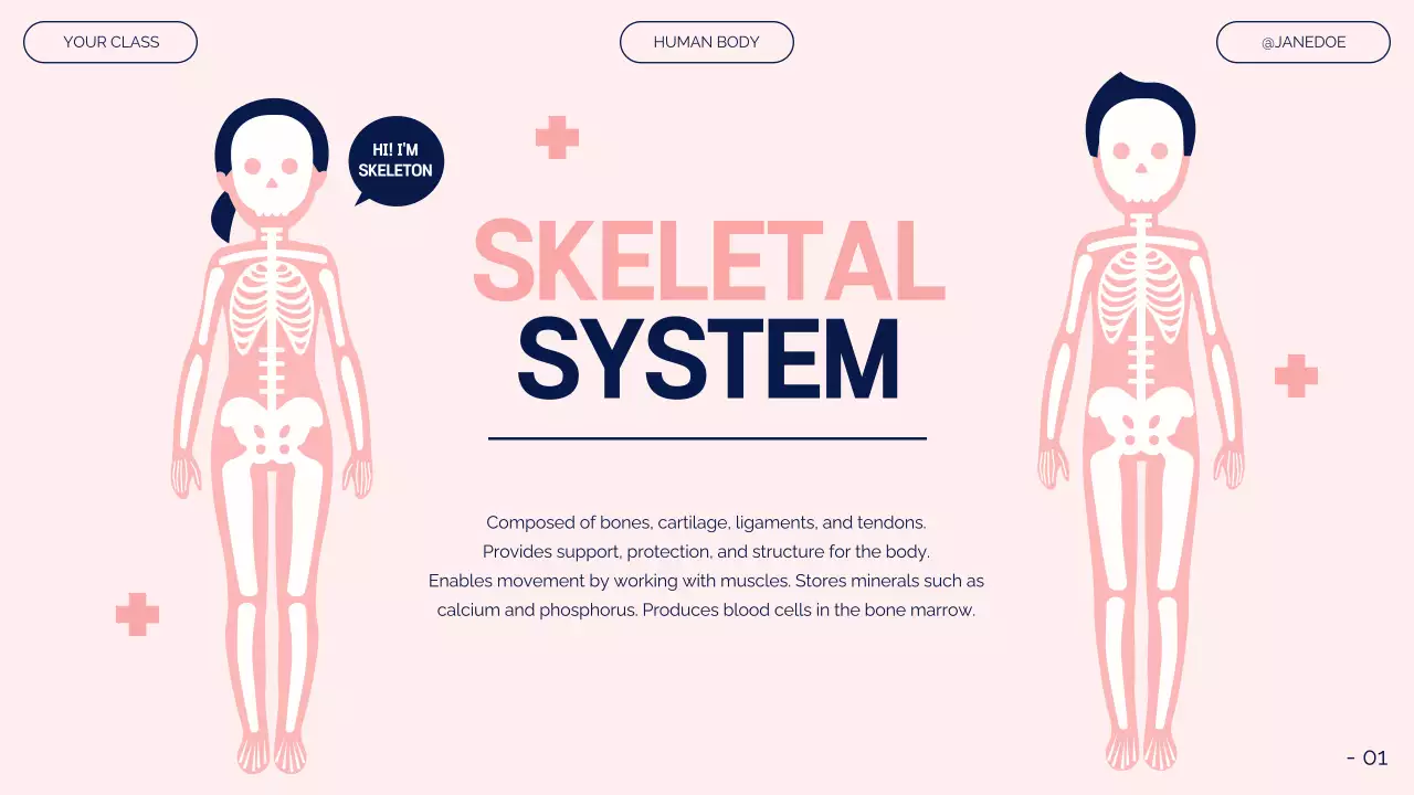 Pink Modern Anatomy Guide Presentation