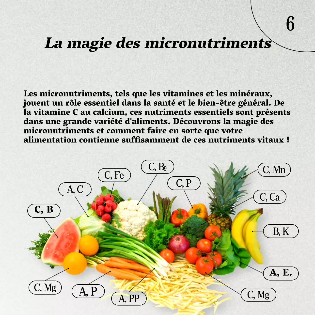 Gris et brun Naturel Guide de l'alimentation saine et du régime alimentaire