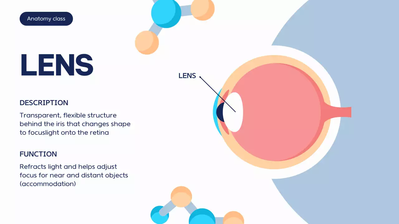 Blue Modern Anatomy Course Presentation