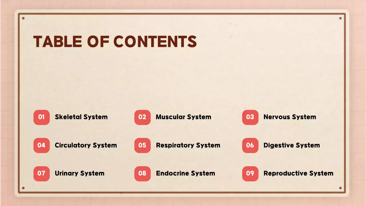 Beige Modern Anatomy Guide Presentation