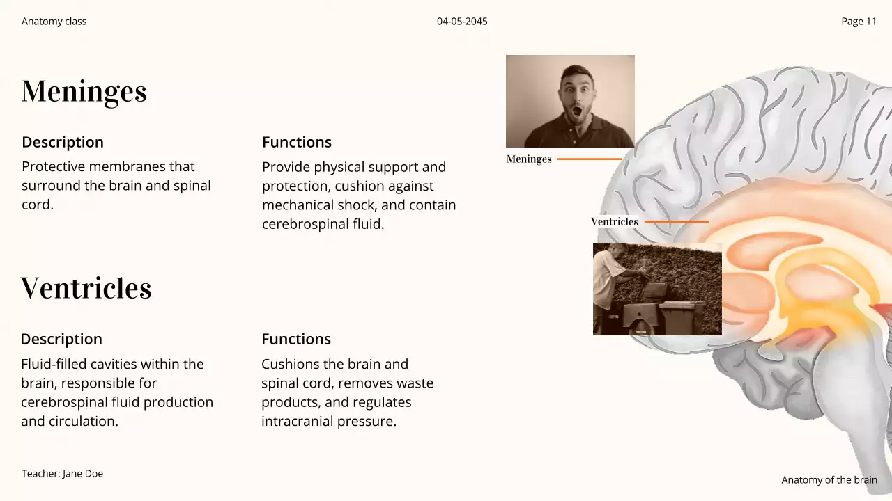 Orange Professional Brain Course Presentation