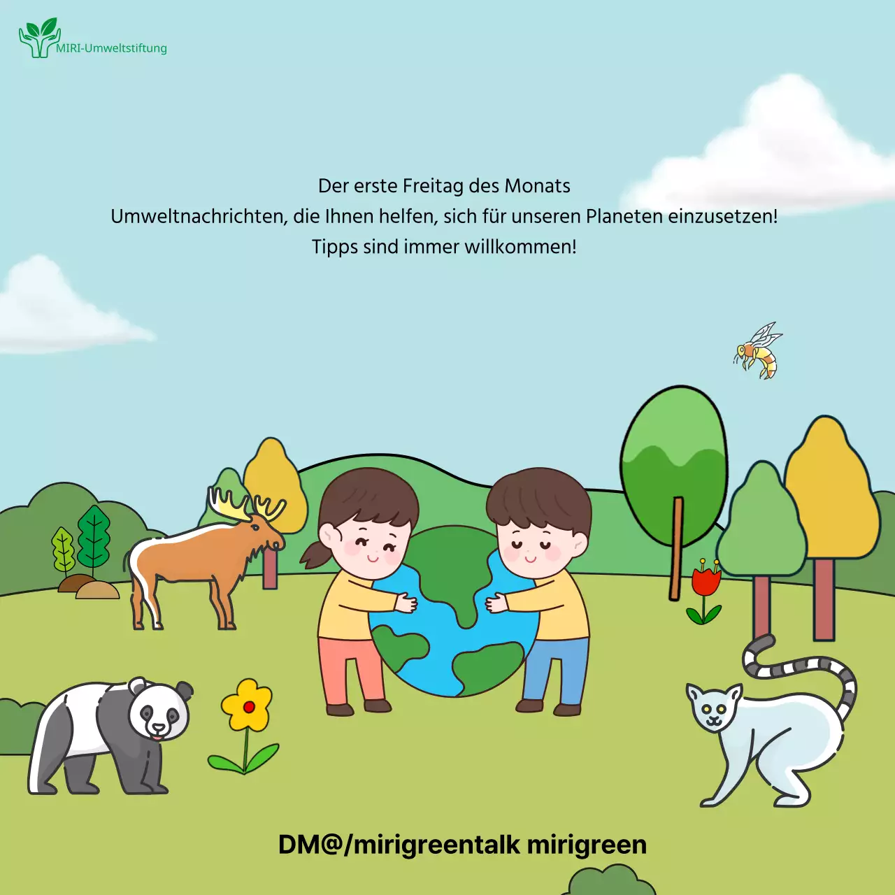 Unser grüner und hellblauer Umwelt-Newsletter des Monats