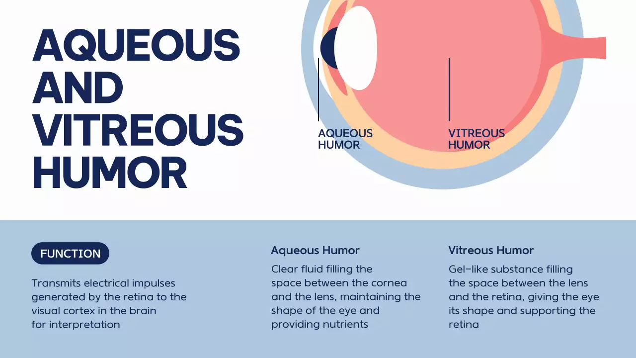Blue Modern Anatomy Course Presentation